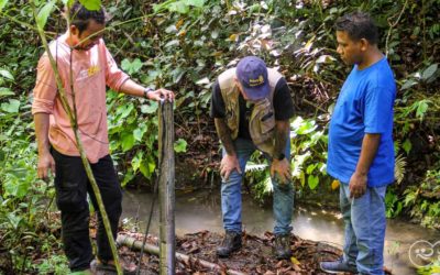 Emergency Repair Mission: Restoring Clean Water in Wairara