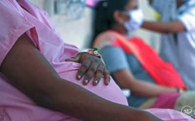 Update: Portable Ultrasound Device for Rural Areas