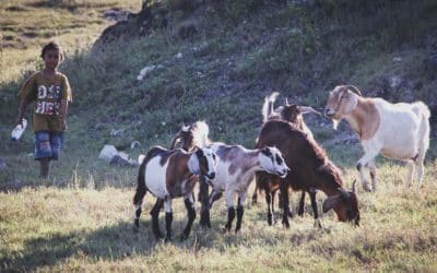 H2O Struggles: Laindatang’s Quest for Clean Water