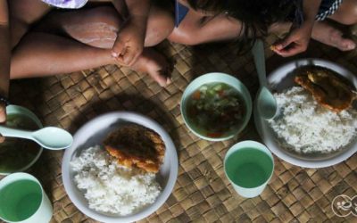 Combatting Malnutrition and Disease is Our Mission