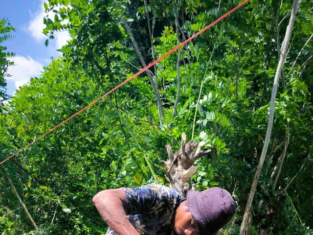 Deep weell drilling in Laindatang