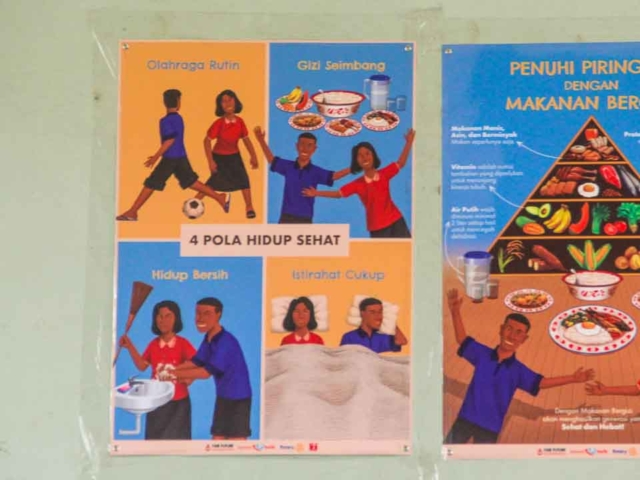 Educational Posters and Training Modules.