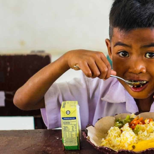 Image showing why Fair Future acts for water, dignity, and healthcare in rural Indonesia