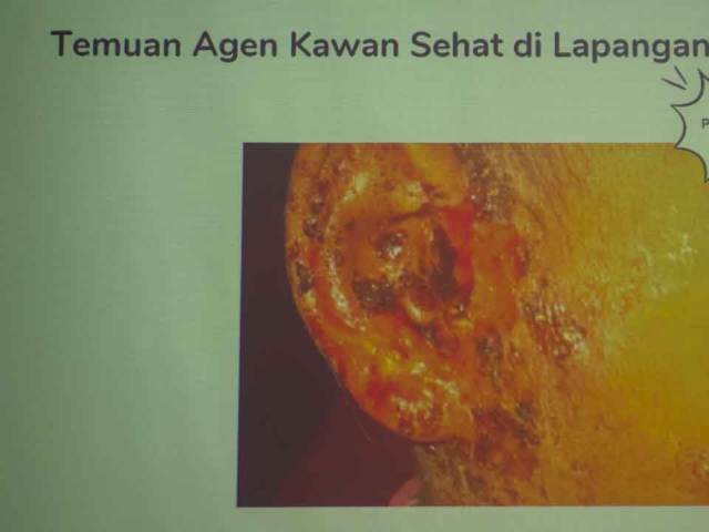 Training and Fieldwork of the Kawan Sehat Health Agents