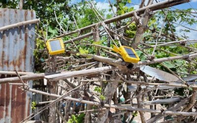 SolarBuddy Lamps Light Up Remote Villages at Night