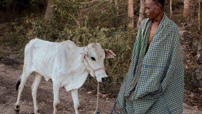 Un homme debout près d'une vache blanche devant une maison du village