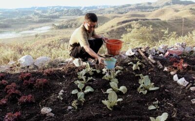 Education and Collaboration in Rural Gardens