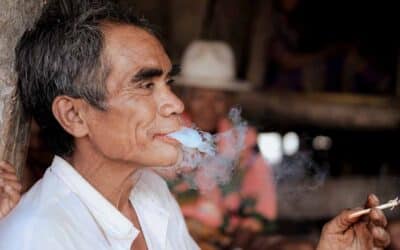 Tobacco Harms More Than Smokers Protect Others Now