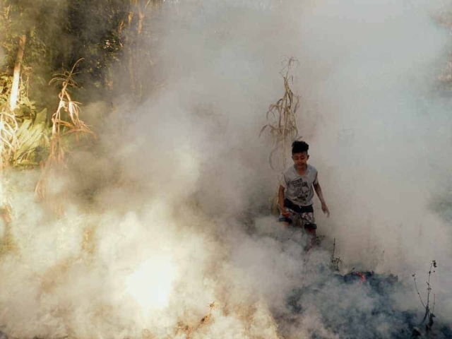 Illustration showing the impact of fine particulate pollution (PM2.5) on lung and heart health.