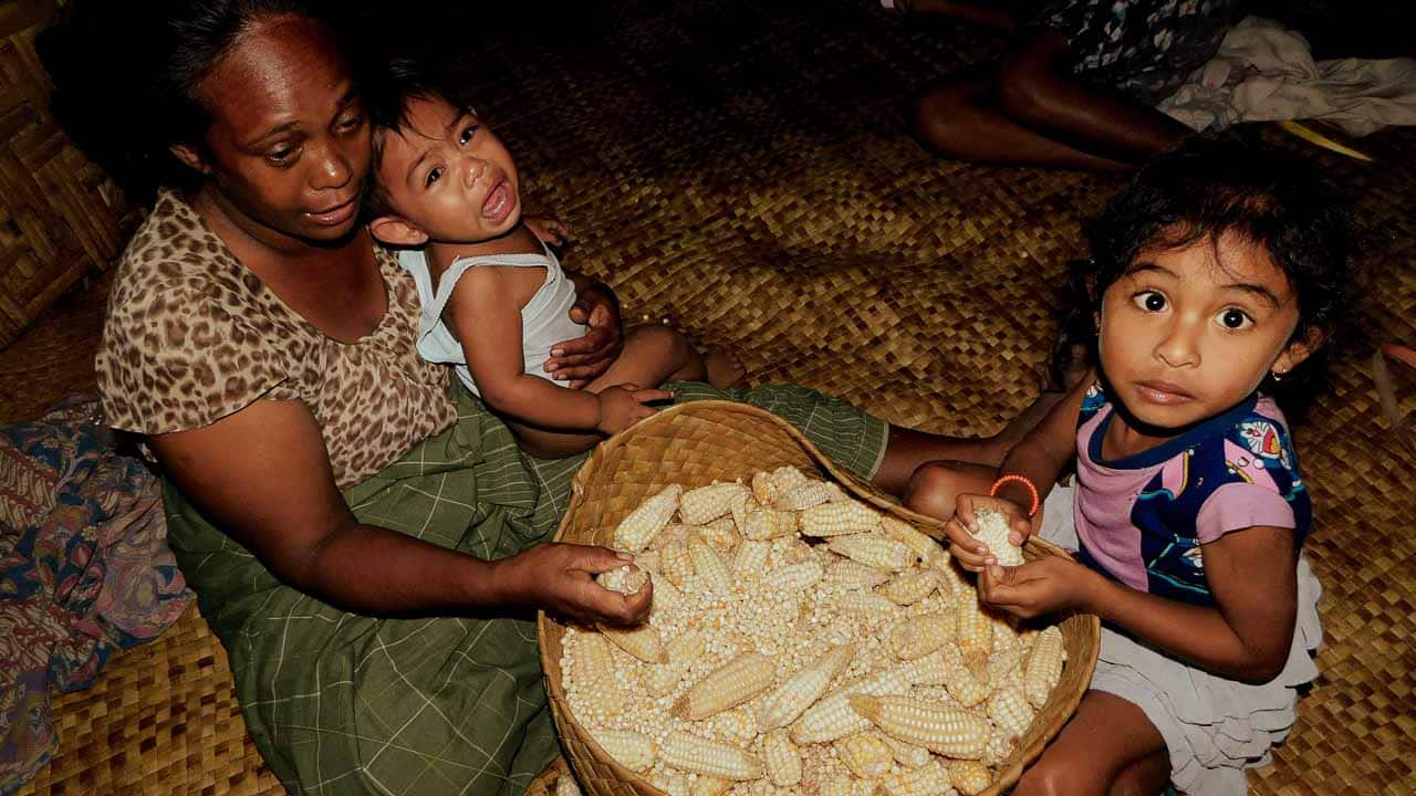 Agriculture and Climate Crisis Impact Farmers affected by drought and climate change struggling to grow crops.