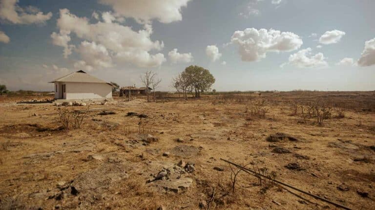 Die Auswirkungen der Agrar- und Klimakrise Landwirte, die von Dürre und dem Klimawandel betroffen sind, haben Schwierigkeiten, Ernte zu erbringen.