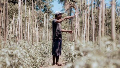 Farmers affected by drought and climate change struggling to grow crops.