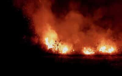 High Temperatures and Global Warming Endanger Lives