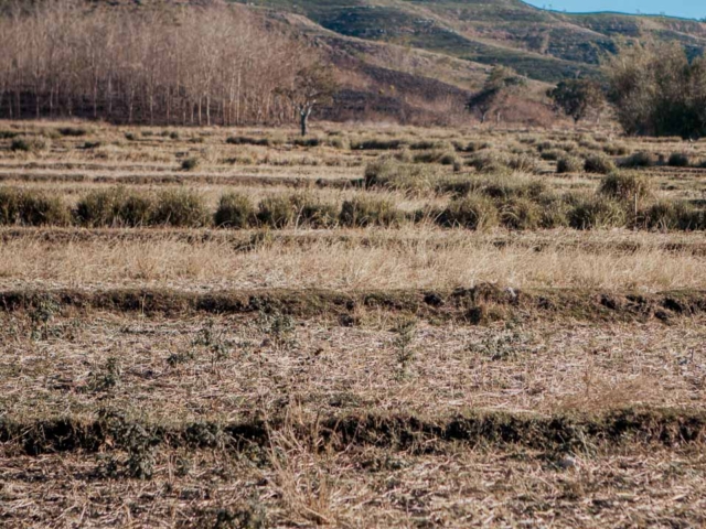 A dry riverbed in an Indonesian village, symbolizing the worsening water crisis due to extreme heat.