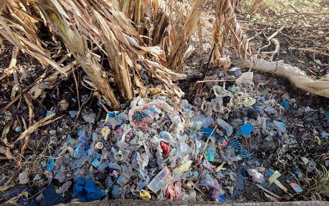 Plastic and waste pollution affecting health and the environment in rural areas.