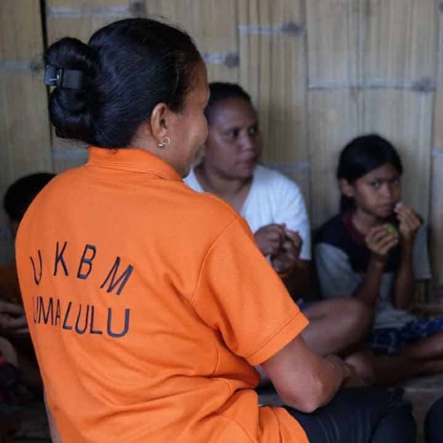 Training for Malaria Spread Study in Umalulu