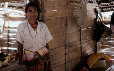 Share Your Story with Fair Future