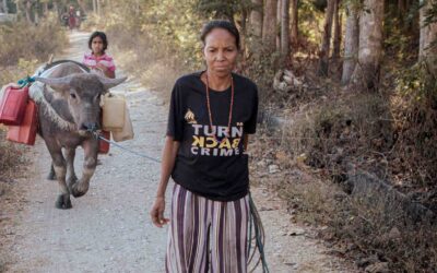 Fair Future work in picture albums