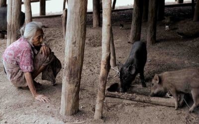 Fair Future Impact in One Snapshot