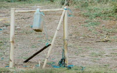 Your Ideas for Change: Share to Make a Better World