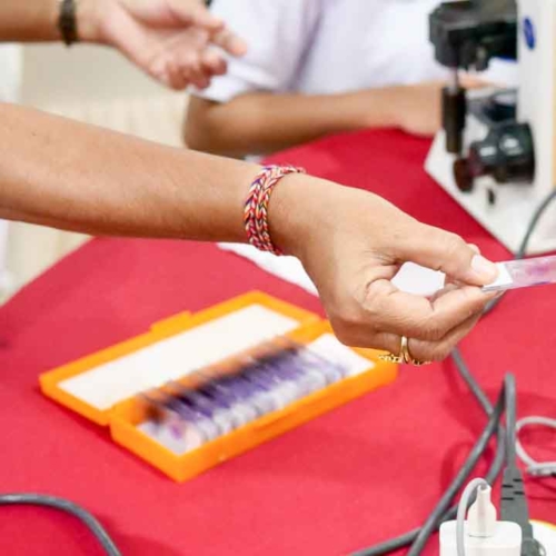 Malaria diagnostics training for all East Sumba analysts