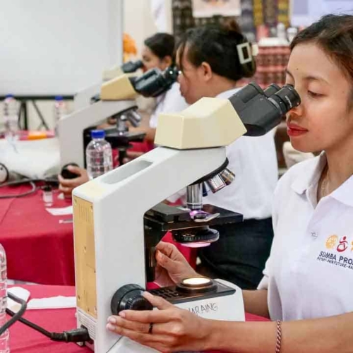 Malaria diagnostics training for all East Sumba analysts