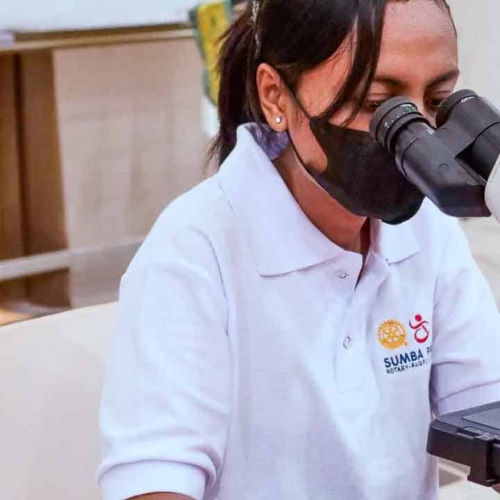 Malaria diagnostics training for all East Sumba analysts