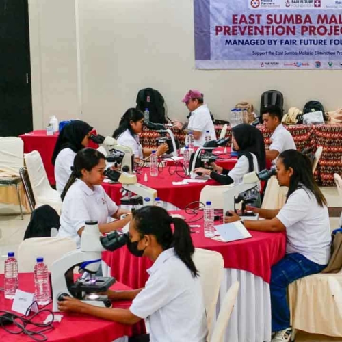 Malaria diagnostics training for all East Sumba analysts