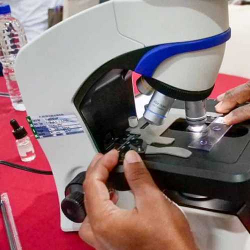 Malaria diagnostics training for all East Sumba analysts