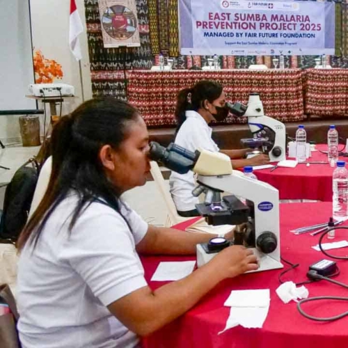 Malaria diagnostics training for all East Sumba analysts