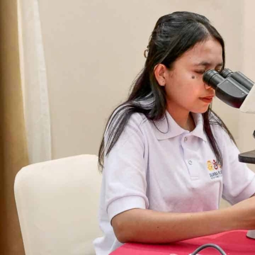 Malaria diagnostics training for all East Sumba analysts