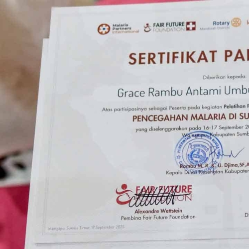 Malaria diagnostics training for all East Sumba analysts