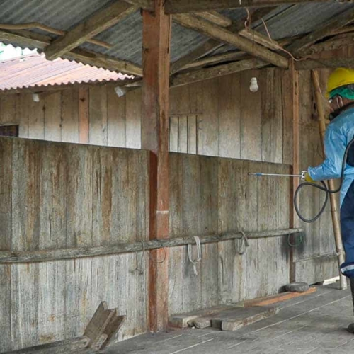 IRS malaria spraying East Sumba