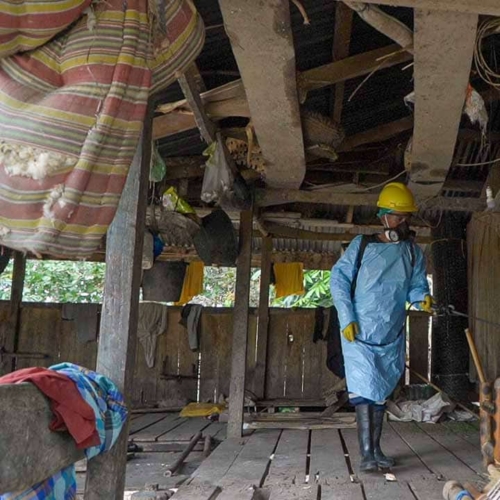 IRS malaria spraying East Sumba