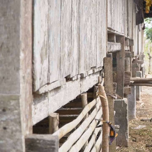 IRS malaria spraying East Sumba
