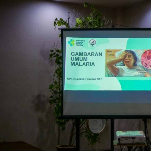 Malaria diagnostics training for all East Sumba analysts