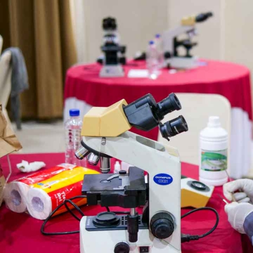 Malaria diagnostics training for all East Sumba analysts