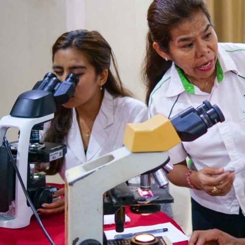 Malaria diagnostics training for all East Sumba analysts