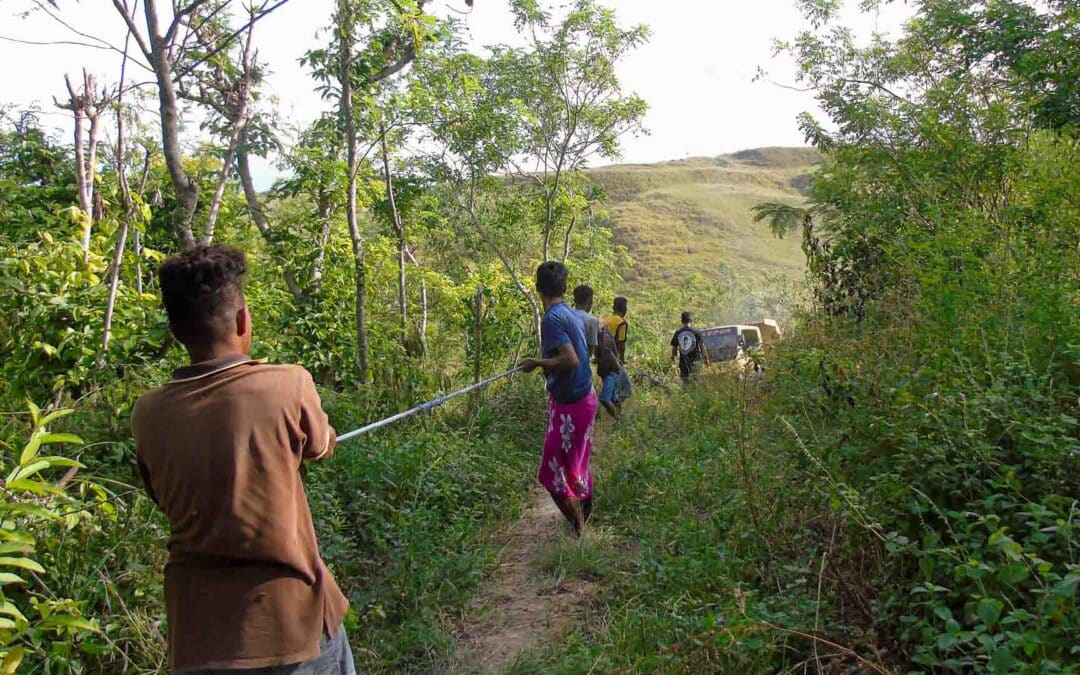 Join Fair Future Foundation Team