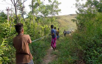 Join Fair Future Foundation Team