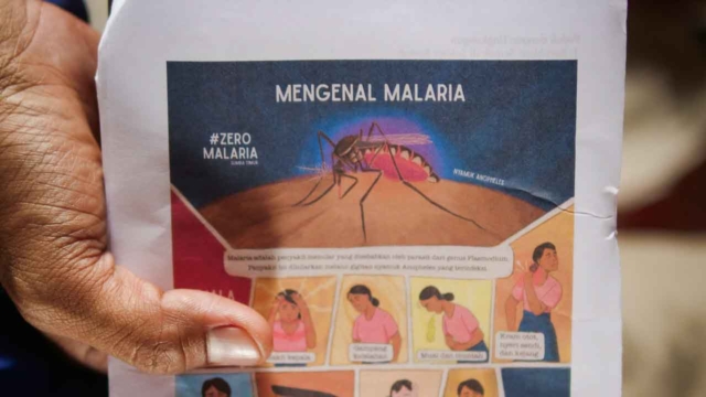 Malaria Education in Umalulu