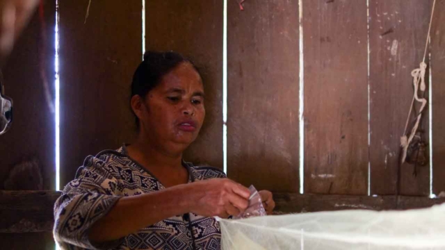 Malaria Education in Umalulu