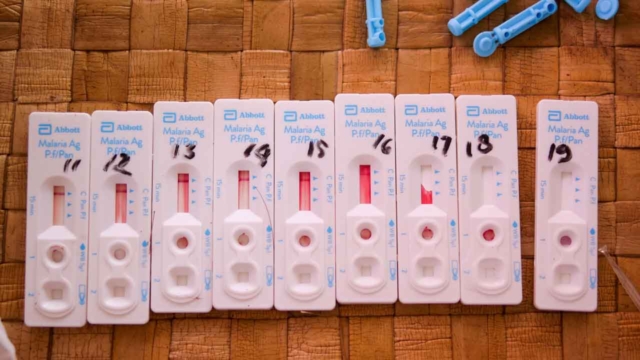 Malaria Education in Umalulu