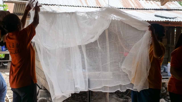 Malaria Education in Umalulu