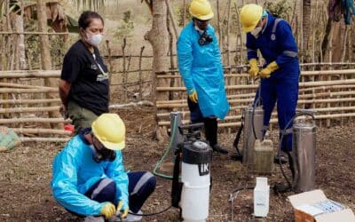 East Sumba malaria prevention 2025 | Field results summary