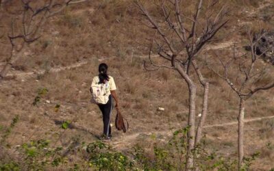 Fair Future Foundation Act for Life