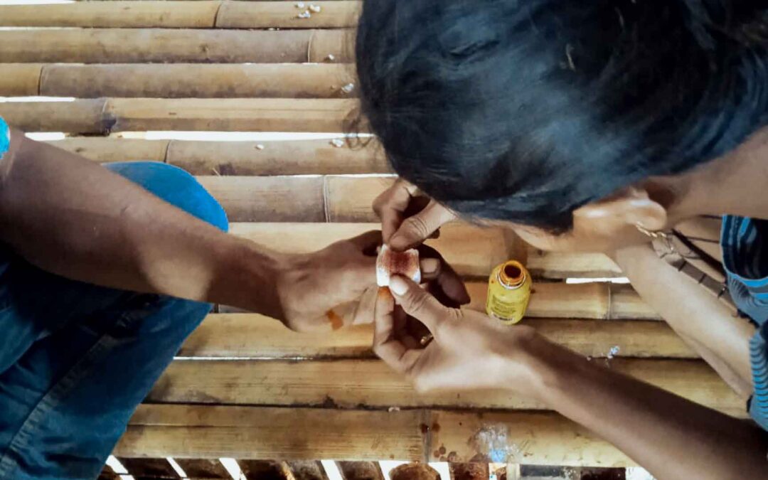 Who are the Kawan Sehat health agents?