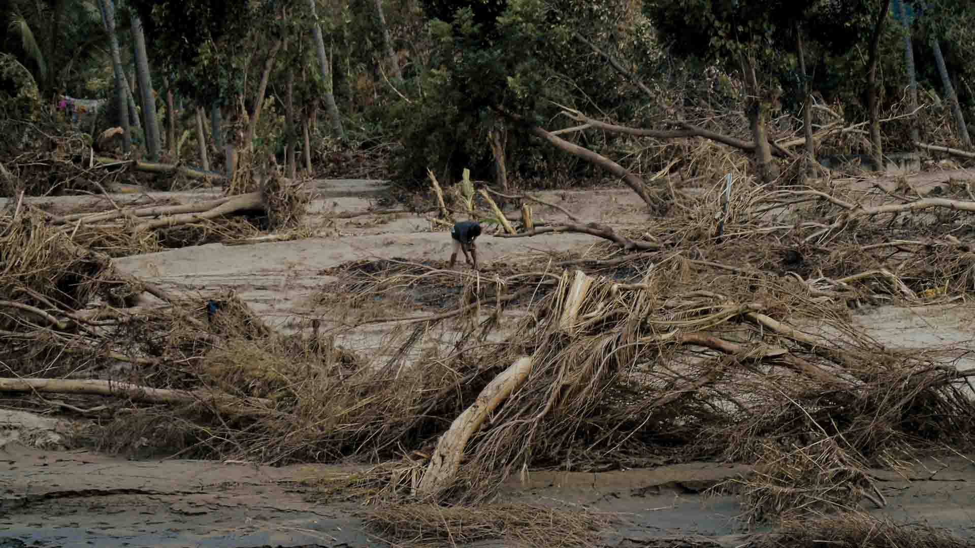 Flood aftermath in East Sumba, villager clearing storm-damaged trees
