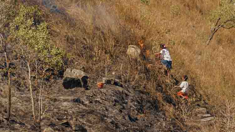 Farmers affected by drought and climate change struggling to grow crops.