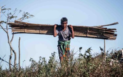 Working Principles in Humanitarian Care | Fair Future